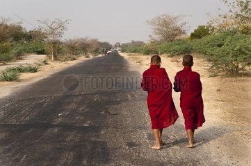 Young monks on their way to find food for the day Burma