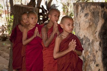 Young monks in the line for the meal Yangon Burma