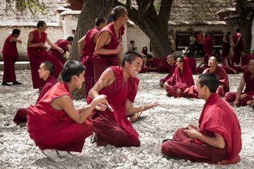 Monks discussing and arguing Sera Monastery at Lhasa Tibet