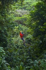 Tarzan Swing Santa Elena Cloud Forest NR Costa Rica
