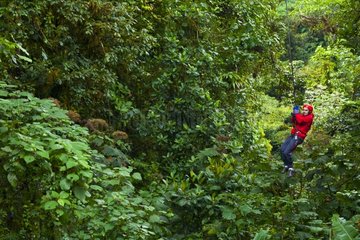 Tarzan Swing Santa Elena Cloud Forest NR Costa Rica