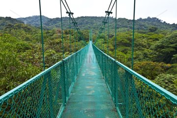 Canopy Trail Santa Elena Cloud Forest NR Costa Rica
