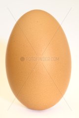Hen egg on white background
