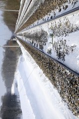 Builder of high-speed line in the snow France