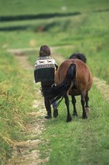Child walking with her pony on a path