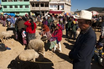 Animal market at San Francisco El Alto Guatemala