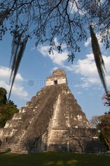 Temple of the Giant Jaguar Tikal mayan archaeological site