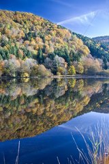 Lake bog in autumn Doller Valley France