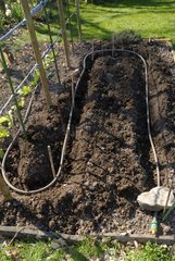 Installing a seep hose irrigation system in vegetable garden