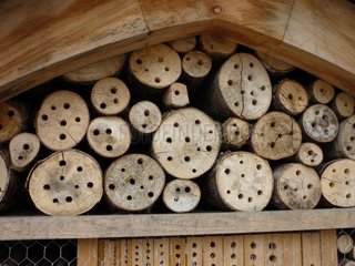 Bee nests Espace Rambouillet France