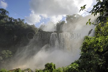 Bossetti Salto Iguazu Falls Argentina
