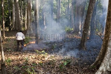 Extinction of a burn farming in the Virachay NP Cambodia