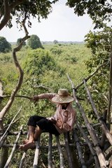 Resting in a platform on top of a tree Tonle Sap Cambodia