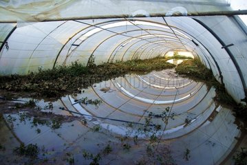 Flooding of a greenhouse in spring in the Var France