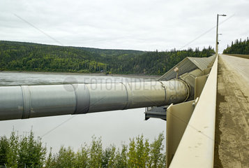 Dalton Highway : from Fairbanks to Prudhoe Bay  Trans Alaska Pipeline System (TAPS)  Autumn at mile 56  Yukon crossing  Alaska  USA