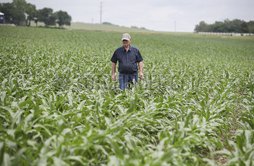 U.S.-ATLANTIC-AGRICULTURE-CHINA TRADE (??·????)Feature: U.S. farmers frustrated by damage caused by tariff uncertainties