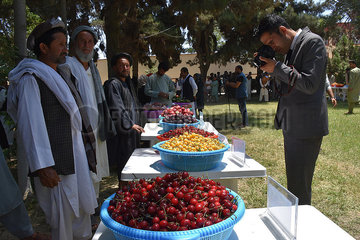 AFGHANISTAN-Balkh-AGRAR PRODUCTS EXPO