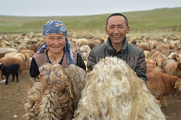 CHINA-XINJIANG-SUMMER PASTURE-SHEEPSHEARING (CN)