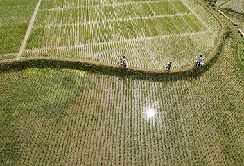 # CHINA-GUIZHOU-BIJIE-AGRICULTURE(CN)