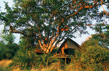 BOTSWANA - Okavango (ABU CAMP)
