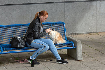 Frankreich  Lothringen  Hayange - Frau kaemmt ihrem Hund das Fell