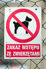 Polen  Poznan - polnisches Schild lautet: Verbot fuer Zugang mit Tieren