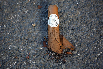 Dresden  Deutschland  halbgerauchte Zigarre liegt auf Asphalt