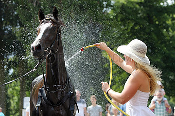 Hoppegarten  Frau mit Hut duscht ein Pferd ab