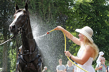 Hoppegarten  Frau mit Hut duscht ein Pferd ab