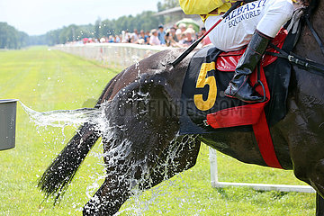 Hoppegarten  Pferd wird nach einem Galopprennen mit Wasser abgekuehlt