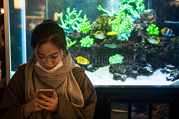 Tokio  Japan  Junge Japanerin mit Handy