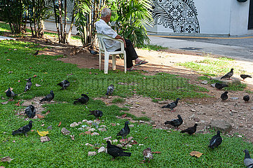 Singapur  Republik Singapur  Einsamer  alter Mann sitzt auf einem Stuhl mit Tauben auf Wiese