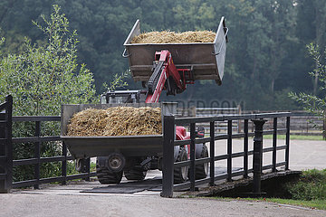 Gestuet Itlingen  Container mit Pferdemist werden mit einem Traktor transportiert
