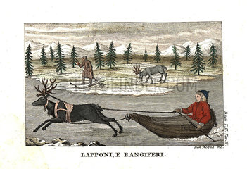 Sami man or Lapplander in a sleigh pulled by a reindeer on ice.