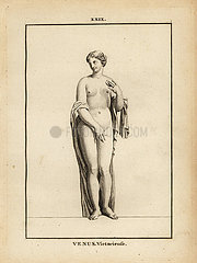 Statue of Venus Victrix  Roman goddess of love  beauty  sex and fertility.