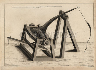 Onager  a type of catapult to project stones..