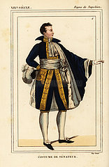 Costume of a French Senator  Napoleonic era.
