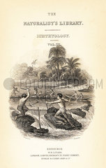 Vignette showing Native Americans fishing on the Essequibo river.