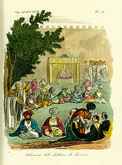 Audience with the Sultan of Bornu  Kanem-Bornu Empire  19th century.