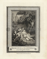 Procris killed by an arrow which Cephalus darted through the thicket.