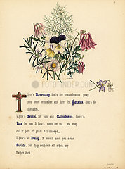 Rosemary  Pansies  Fennel  Columbines  Rue  Daisy and Violets (Hamlet).