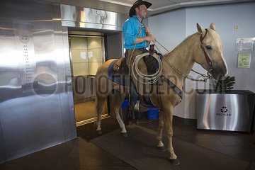 david cowley on horse in elevator
