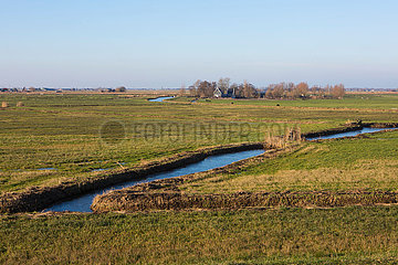 reclaimed land in the netherlands