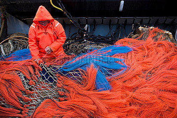 Puls trawling in the North sea