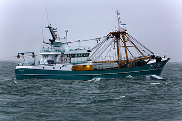 Puls trawling in the North sea