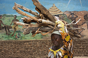 firewood in Africa