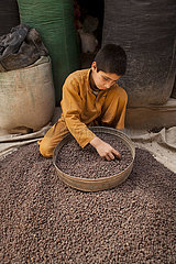 child labour in Afghanistan  shop in herat  Afghanistan