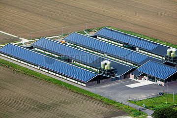 solar panels on farm buildings in Holland
