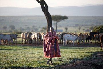 Kenya-Masai