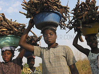 Closeup of girls carrying firewood in Angola. Feeding centres and other humanitarian aid were organised in Angola after widescale malnutrition during and following the countrys civil war.